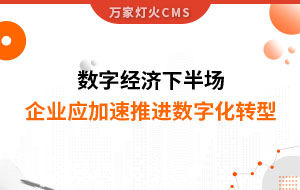 數(shù)字經(jīng)濟下半場，企業(yè)應加速推進數(shù)字化轉型