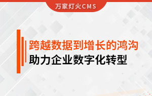 跨越數(shù)據(jù)到增長的鴻溝，助力企業(yè)數(shù)字化轉型